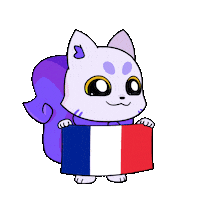 France Flag Sticker by Lucky Kat Studios