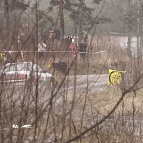 Fail Car Crash GIF by FIA World Rally Championship
