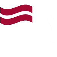 Flag Hedgehog Sticker by Ezītis miglā