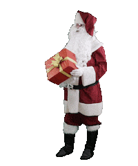 Sebastian Christmas Sticker by SEBASTIAN