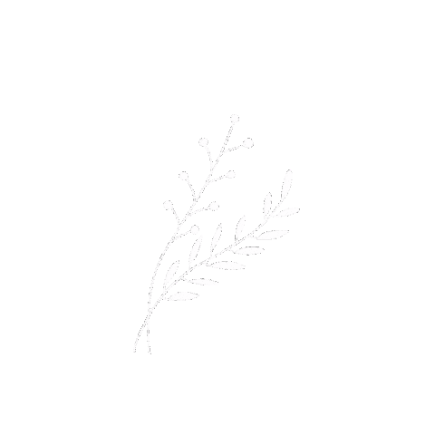 athenatvs giphyupload white nature minimal Sticker