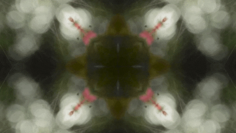 Art Love GIF by jorgemariozuleta