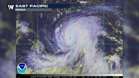 KKlosWN giphyupload GIF