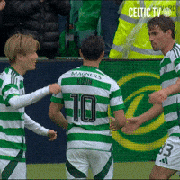 Flag Day Hoops GIF by Celtic Football Club