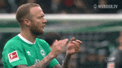 Germany Football GIF by SV Werder Bremen