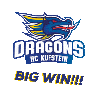 Hockey Win Sticker by hckufstein