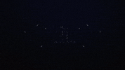 Tier 1 Tierone GIF by Tier One Entertainment