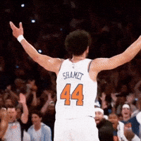 Lets Go Knicks GIF
