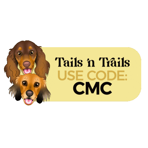 Cricket Mushu Sticker by zoopeez