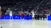 Real Madrid Basketball GIF by ACB
