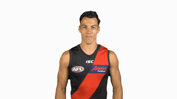essendonfc dons bombers essendon essendon fc GIF