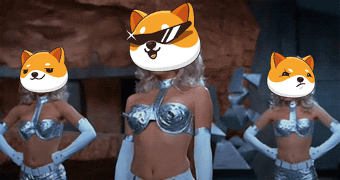Fun Money GIF by Baby Doge Coin