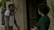alia shawkat tbs GIF by Search Party