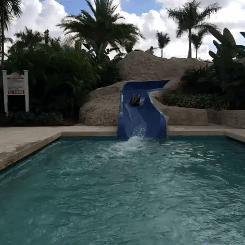 GIF by Richard Childress Racing