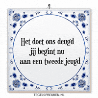 Humor Nl GIF by Tegelspreuken.nl