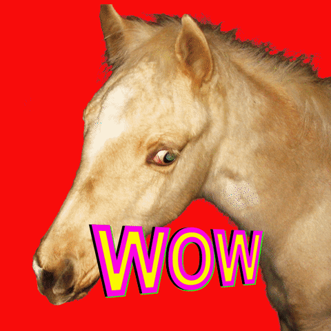 Wow GIF by BuzzFeed Animation