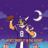 Minnesota Vikings Football GIF by Doge Pound