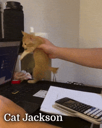 Michael Jackson Mj GIF