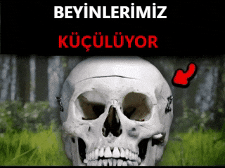 Brains GIF