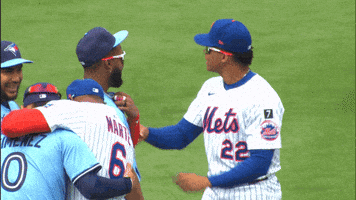 Talking Blue Jays GIF by Toronto Blue Jays