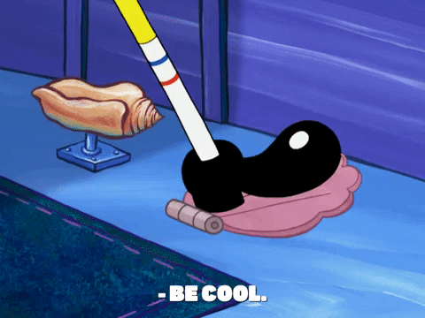 season 8 GIF by SpongeBob SquarePants