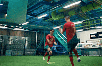 World Cup Celebration GIF