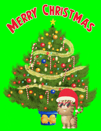 Merry Christmas Cat GIF by Bill Greenhead