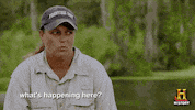 confused whats happening GIF