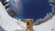 GIF by Outside Magazine