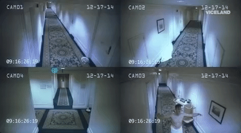 whatwoulddiplodo giphyupload viceland what would diplo do? giphywhatwoulddiplodo105 GIF