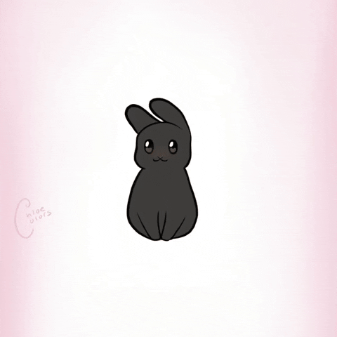 Funny Bunny GIF