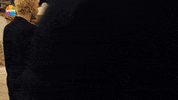 Ekin Koc Uc GIF by Show TV