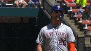 Pete Alonso Point GIF by New York Mets