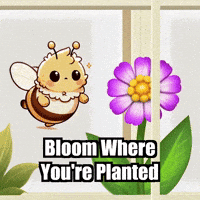 Transformation Gardening GIF by Beelightened