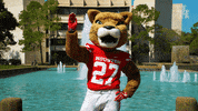 houstoncougars houston sasha gocoogs shasta GIF