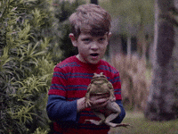 Feeling Froggy