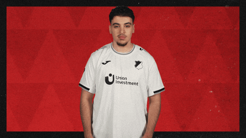 Tsg Hoffenheim Football GIF by Bundesliga