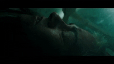 laurentgalant giphygifmaker GIF