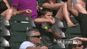 cws GIF by MLB