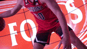 Wildcats GIF by Arizona Men's Basketball