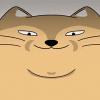 Friendship Begging GIF by MESA My Emotional Support Animal