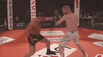 Knockout Ko GIF by Caged Steel
