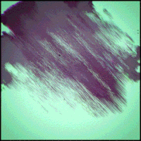 glitch gif artist GIF by Erica Anderson