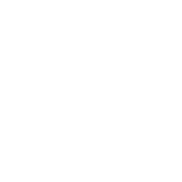 Flower Rose Sticker by Los Angeles Times