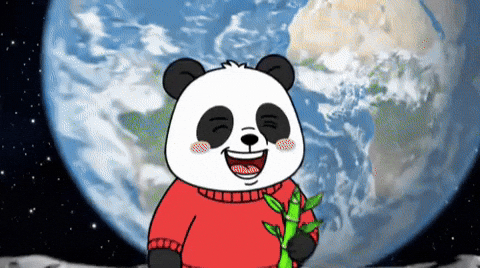 Bamboo Planting GIF by Pandu Pandas