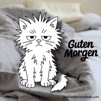 Coffee Time Cute Cat GIF by ErlebnisMalerei
