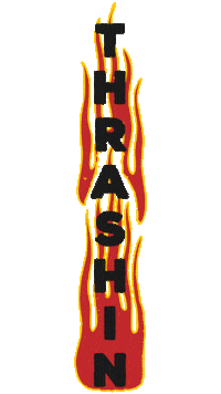 ThrashinSupply harley harley davidson dyna fxr Sticker