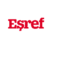 Logo Dizi Sticker by WASS Medya