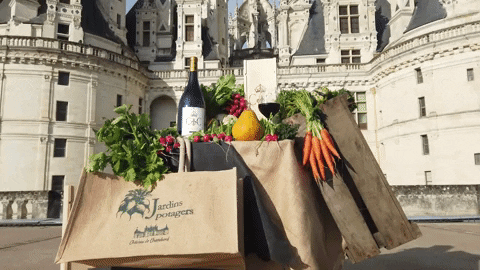 France Wine GIF by Château de Chambord