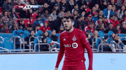 celebrate alejandro pozuelo GIF by Toronto FC